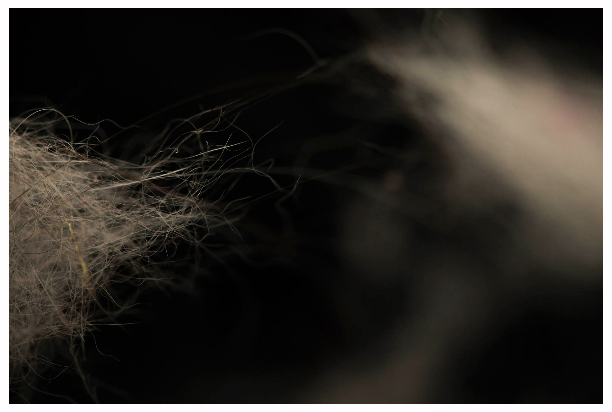 2014_01_5D2_925